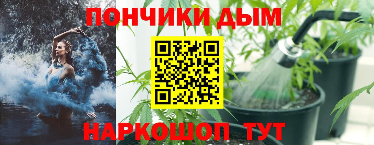 Бошки Шишки планчик  Бошки Шишки THC 21%  Южноуральск  Вход с VPN  Каннабис семена 